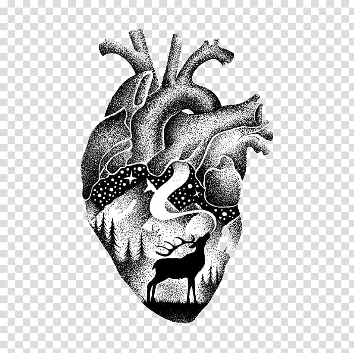 human heart and deer in forest artwork transparent background PNG clipart