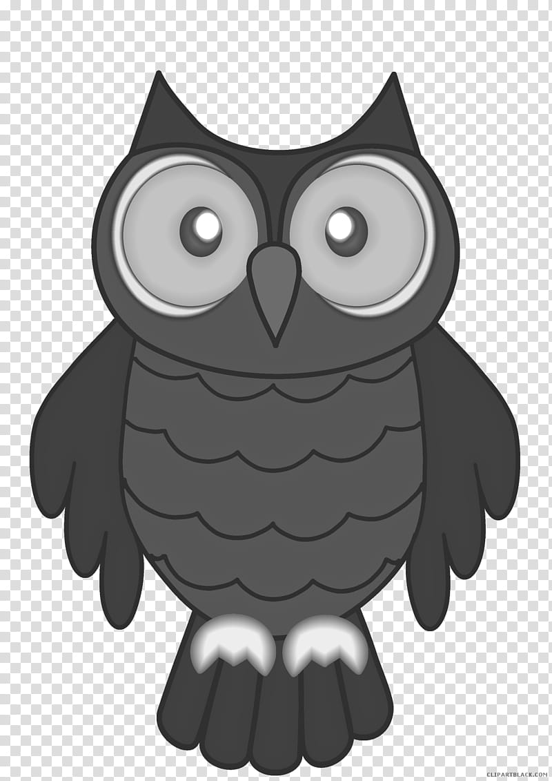 Bird Wing, Owl, Drawing, Black, Bird Of Prey, Beak, Black And White transparent background PNG clipart