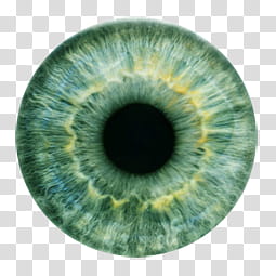 Iris , eye retina illustration transparent background PNG clipart