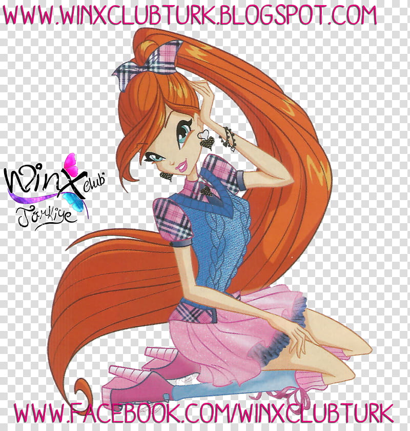 Bloom D Season  Fairy Couture transparent background PNG clipart