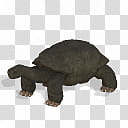 Spore creature Indefatigable Island tortoise, black turtle illustration transparent background PNG clipart