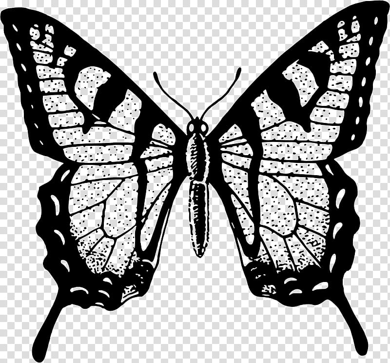 Butterfly Black And White, Monarch Butterfly, Paper, Decal, Sticker, Black And White
, Moth, Wing, Postage Stamps, Painting transparent background PNG clipart