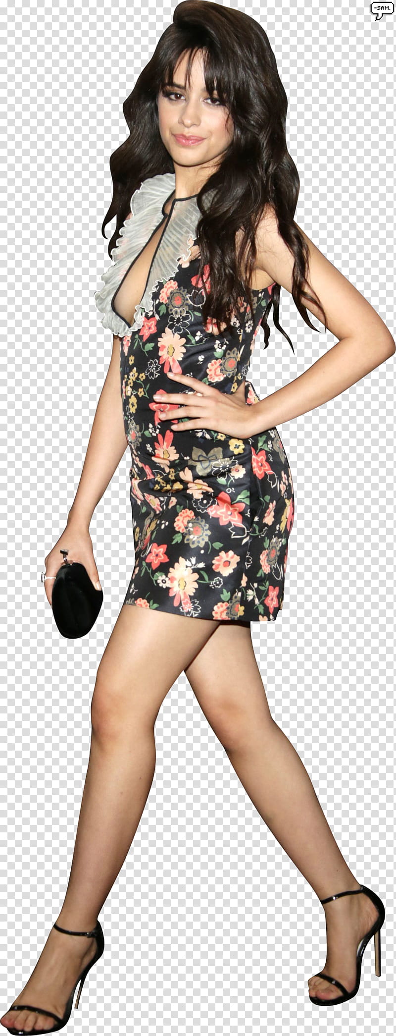 Camila Cabello , A icon transparent background PNG clipart