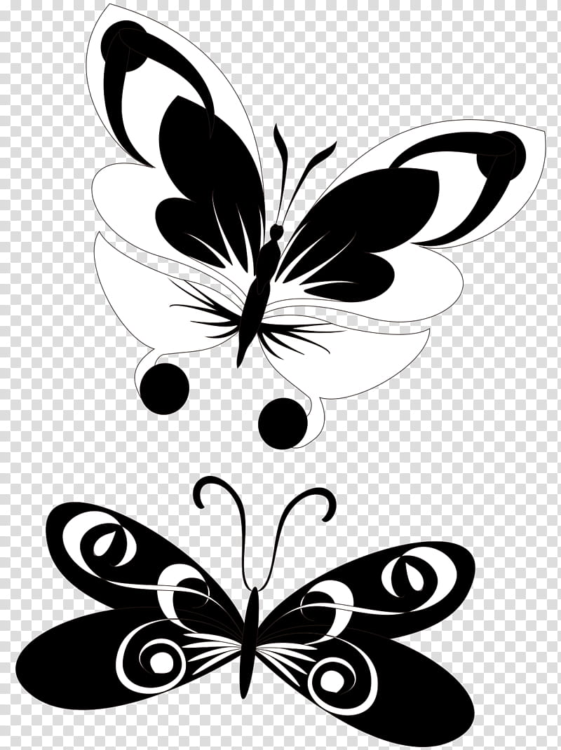 Black And White Flower, Butterfly, Drawing, Borboleta, Cartoon, Digital Art, Lepidoptera, Moths And Butterflies transparent background PNG clipart