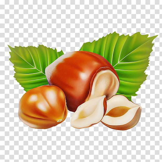 hazelnut chestnut food nut nuts & seeds, Nuts Seeds, Leaf, Ingredient, Plant, Cuisine transparent background PNG clipart