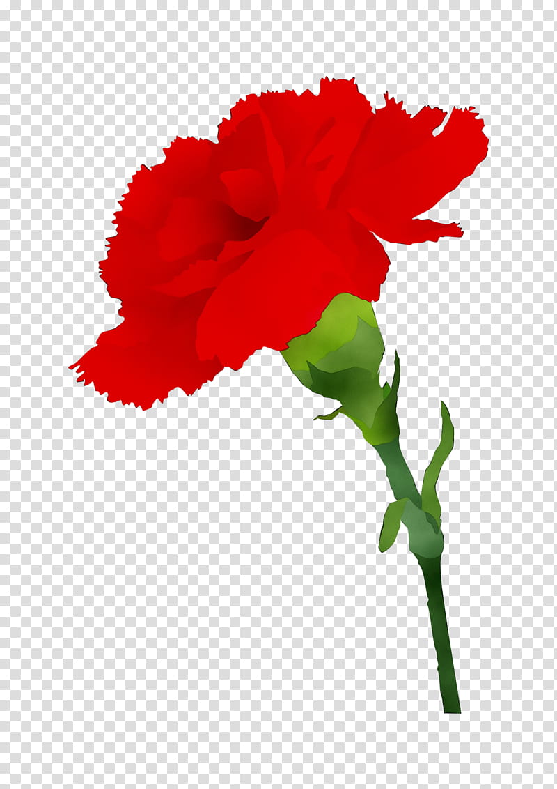 red carnation clip art