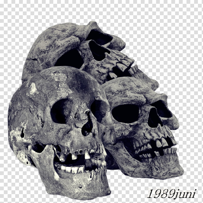 HALLOWEEN O,  Juni three gray human skull transparent background PNG clipart