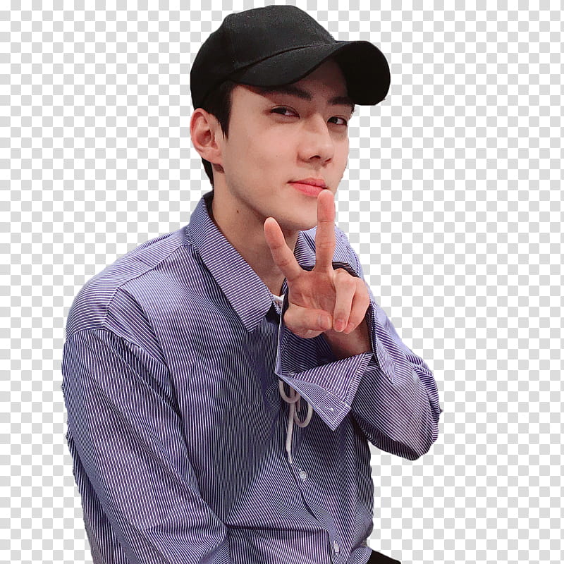 Sehun and Suho EXO transparent background PNG clipart
