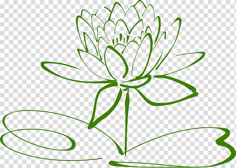 India Flower, Drawing, Sacred Lotus, National Symbols Of India, Logo, Green, Leaf, Plant transparent background PNG clipart