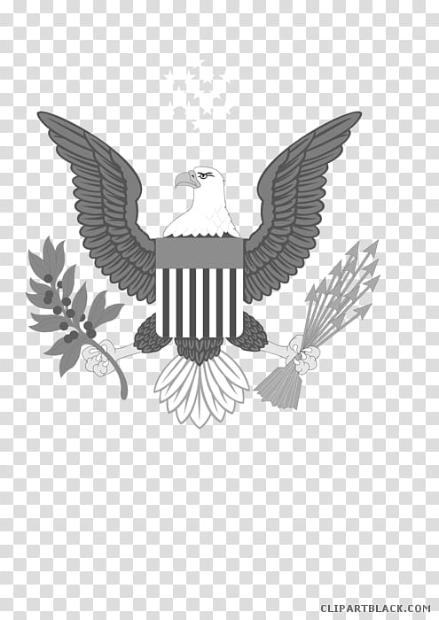 Eagle Logo, Bald Eagle, United States Of America, Symbol, Freedom Eagle, Great Seal Of The United States, Americas Bald Eagle, National Symbol transparent background PNG clipart