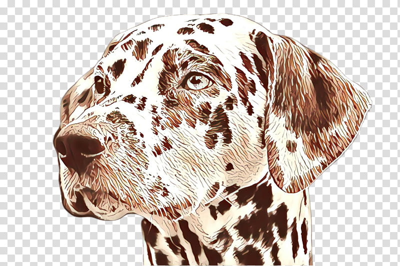 Dog, Cartoon, Dalmatian Dog, Puppy, Labrador Retriever, Great Dane, Dobermann, Hundred And One Dalmatians transparent background PNG clipart