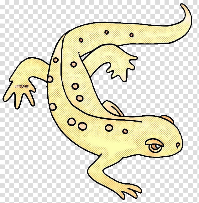 Animal, Toad, Gecko, Cartoon, Yellow, Animal Figure, True Salamanders And Newts, Tail transparent background PNG clipart
