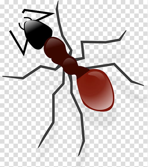 Ant, Drawing, Carpenter Ant, Bullet Ant, Fire Ant, Formicarium, Insect, Pest transparent background PNG clipart