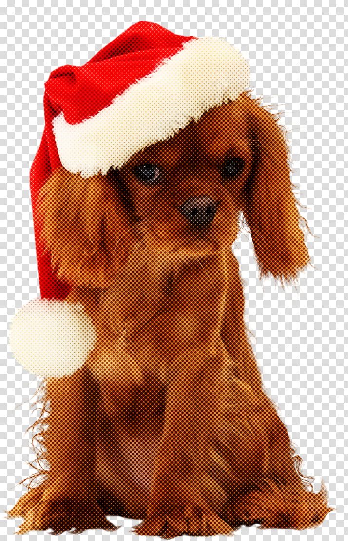 Christmas ornaments Christmas decoration Christmas, Christmas , Dog, Puppy, Companion Dog, Toy Poodle, Cocker Spaniel, Sporting Group transparent background PNG clipart