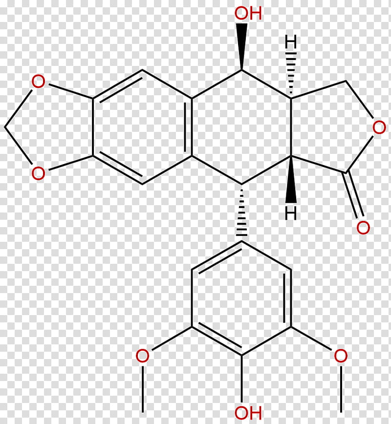Marker Circle, Metabolite, Chemical Compound, Marker Gene Technologies Inc, Extract, Lignan, Natural Product, Camptothecin transparent background PNG clipart