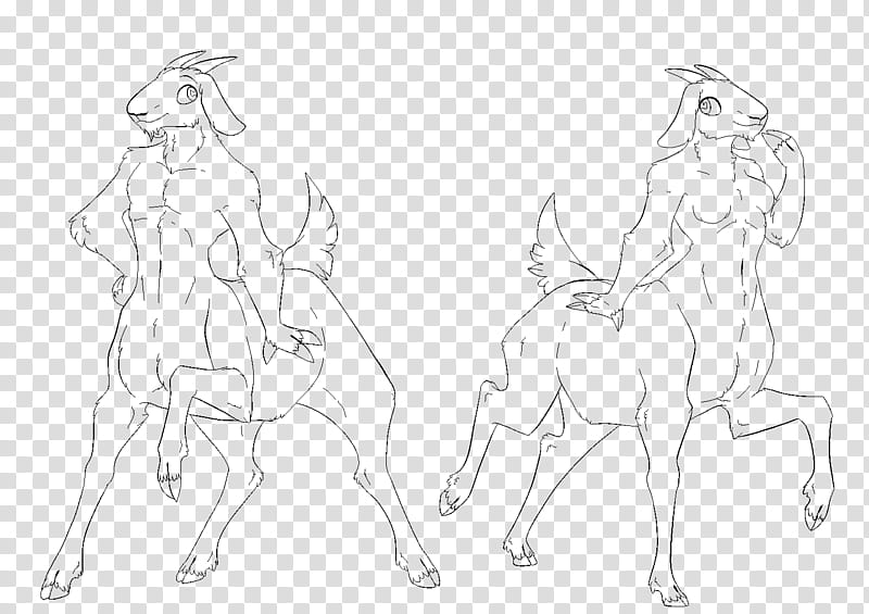 Bariaur Base, two horses sketch transparent background PNG clipart