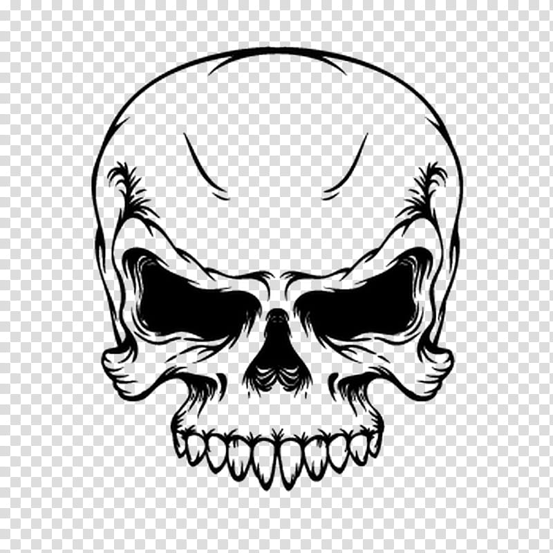 Human Skull Drawing, Skull And Crossbones, Cartoon, Skeleton, Line Art, Face, Head, Black And White transparent background PNG clipart