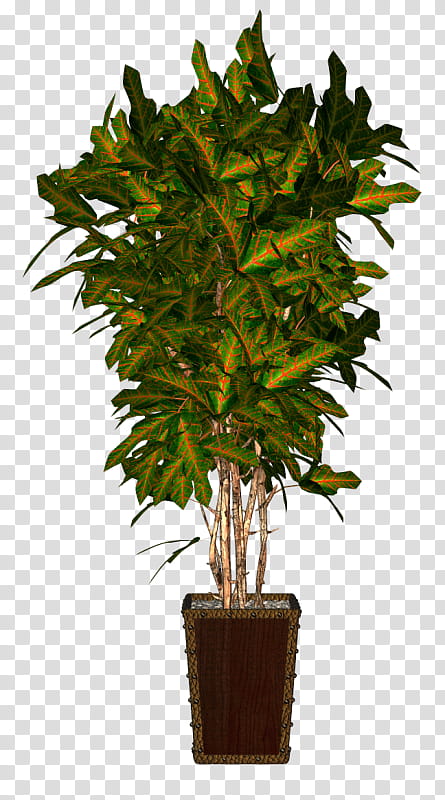 Cartoon Palm Tree, Houseplant, Flowerpot, Plants, Palm Trees, Shrub, Leaf, Aspidistra Elatior transparent background PNG clipart