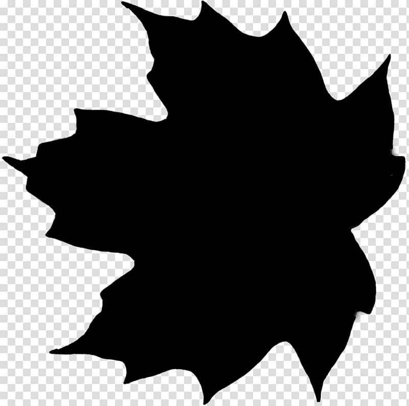 Holly Leaf, Maple Leaf, Flower, Black M, Blackandwhite, Tree, Woody Plant, Plane transparent background PNG clipart