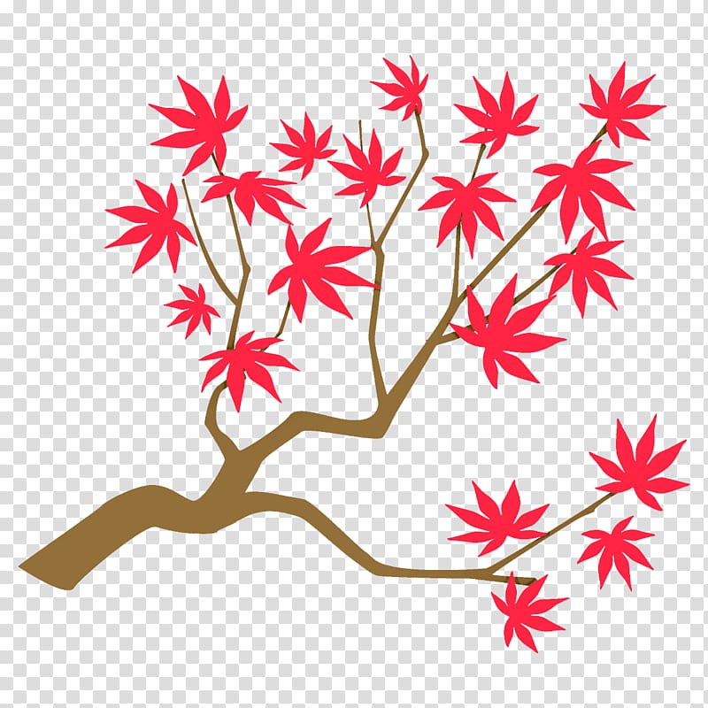 maple branch maple leaves autumn tree, Fall, Leaf, Plant, Black Maple, Flower transparent background PNG clipart