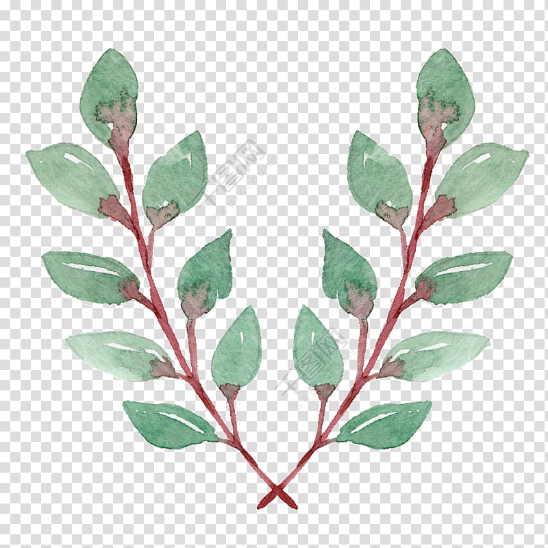 Floral Flower, Leaf, Drawing, Petal, Follaje, Plants, Tree, Spring transparent background PNG clipart