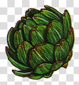 Vegetables and Fruit , green artichoke illustration transparent background PNG clipart
