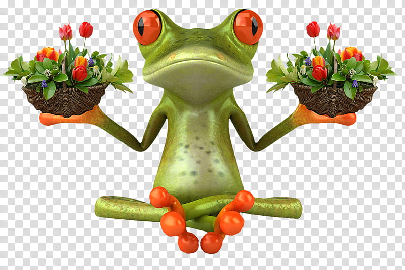 Strawberry, Frog, Strawberry Poisondart Frog, Tree Frog, Toad, Flowerpot transparent background PNG clipart