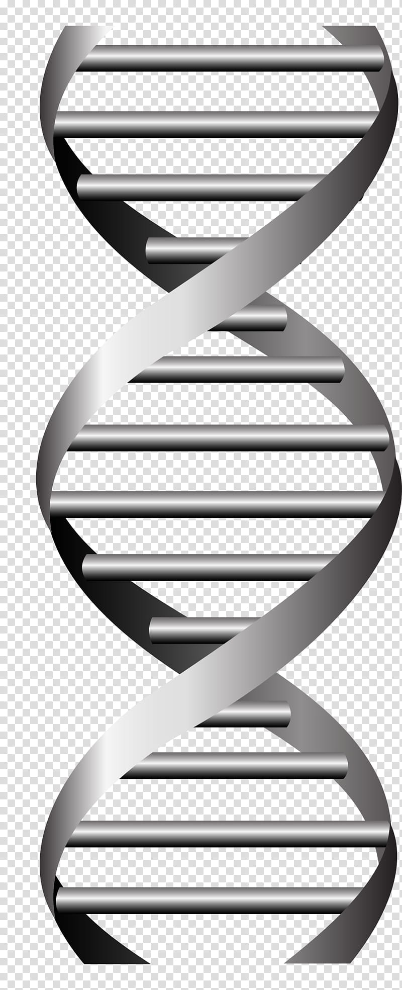 Trophy, Dna, , Nucleic Acid Double Helix, Genetics, Stairs, Logo, Furniture transparent background PNG clipart