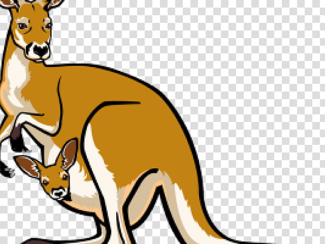 Koala, Kangaroo, Macropods, Joey Kangaroo, Silhouette, Boxing Kangaroo, Macropodidae, Wildlife transparent background PNG clipart