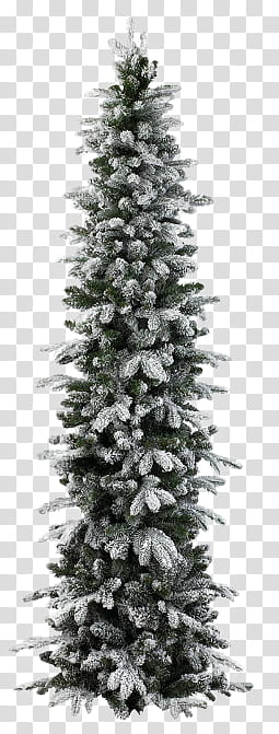 Xmas pine tree , gray holiday tree transparent background PNG clipart