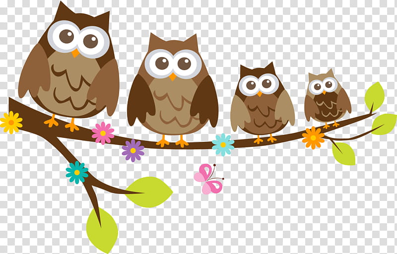 Happy Birthday, Owl, Little Owl, Happy Birthday Owl, Animal, Barn Owl, Sticker, Bird transparent background PNG clipart