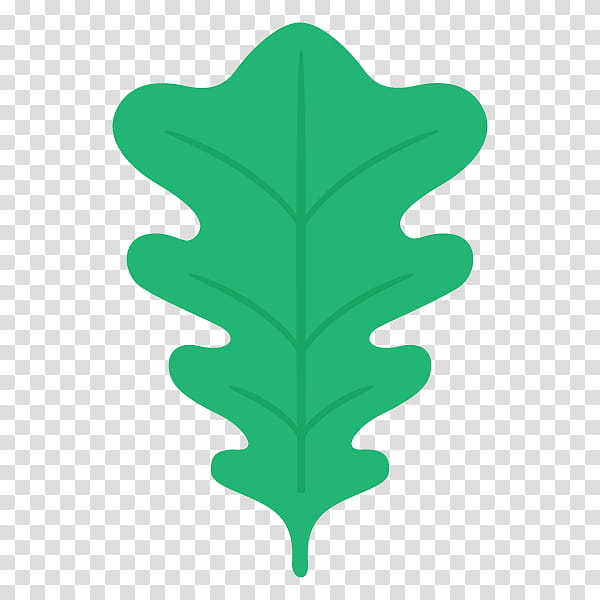 Green Leaf, Tree, Plants, Flower, Cyclobalanopsis, Data transparent background PNG clipart