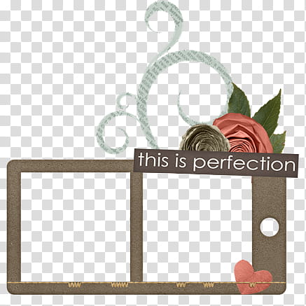 rectangular gray frame with this is perfection text and pink rose flower transparent background PNG clipart