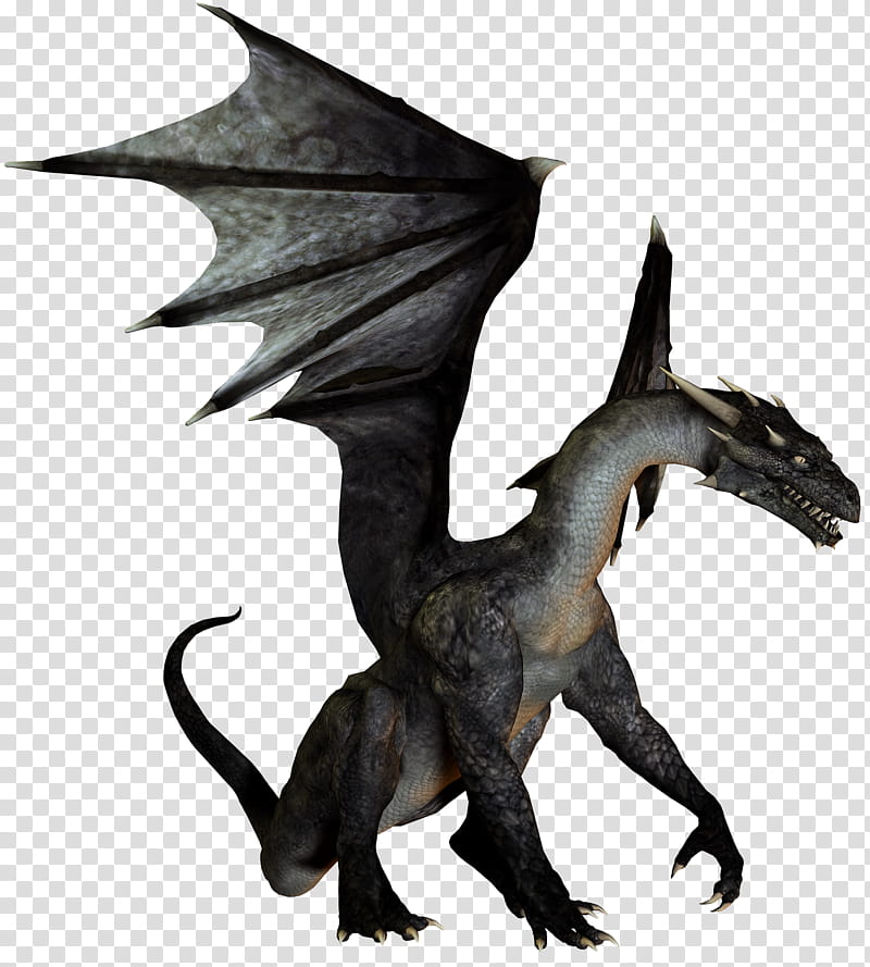 E S Dragon I Darkness, black and gray dragon illustration transparent background PNG clipart