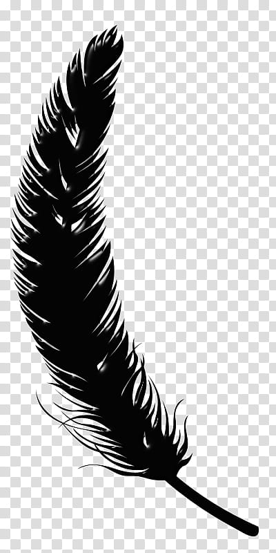 Writing, Feather, Silhouette, Hotel, Quill, Eyelash, Eyebrow, Wing transparent background PNG clipart