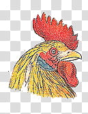 yellow and red chicken head illustration transparent background PNG clipart