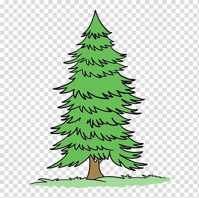 Christmas Tree Line Drawing, Fir, Pine, Evergreen, Blue Spruce, Pencil, Cartoon, Line Art transparent background PNG clipart