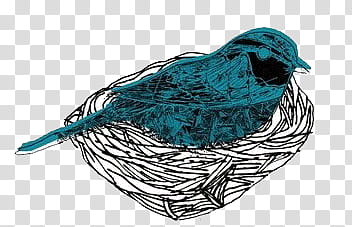 , blue and black bird on black nest transparent background PNG clipart