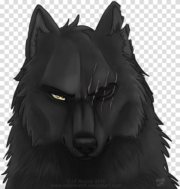 Black Wolf Aaron transparent background PNG clipart