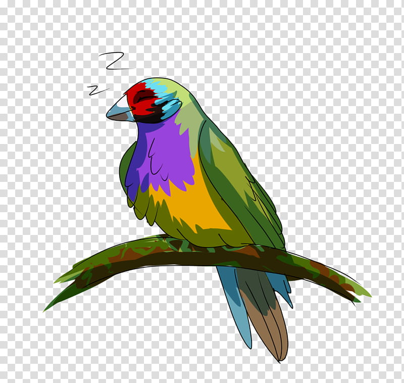 Bird Parrot, Macaw, Lovebird, Parakeet, Beak, Feather, Pet, Lorikeet transparent background PNG clipart