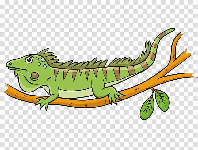Chameleon, Common Iguanas, Drawing, Cartoon, Reptile, Lizard, Iguania, Scaled Reptile transparent background PNG clipart
