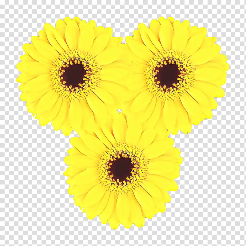 Flowers, Transvaal Daisy, Cut Flowers, Pot Marigold, Sunflower, Yellow, Gerbera, Barberton Daisy transparent background PNG clipart