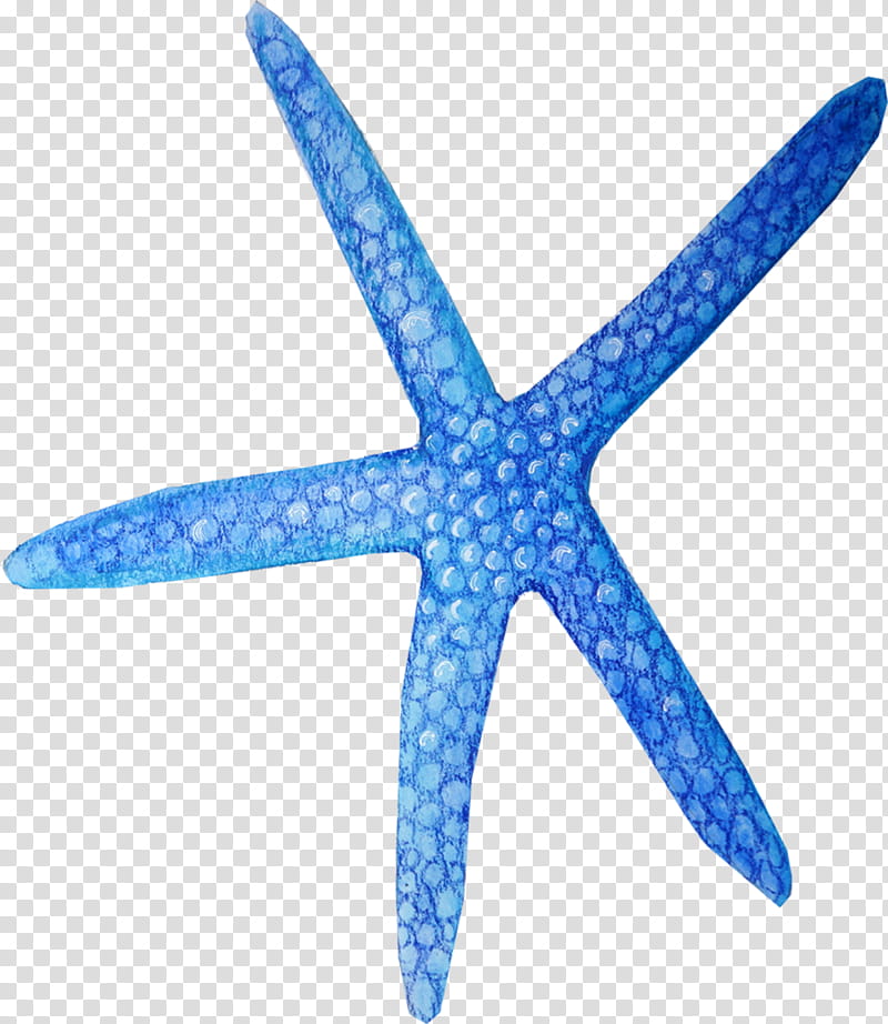 Book Watercolor, Starfish, Blue Sea Star, Drawing, Watercolor Painting, Coloring Book, Turquoise, Electric Blue transparent background PNG clipart