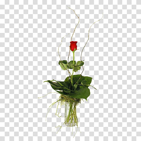 collection, red rose with green leaf in clear vase transparent background PNG clipart