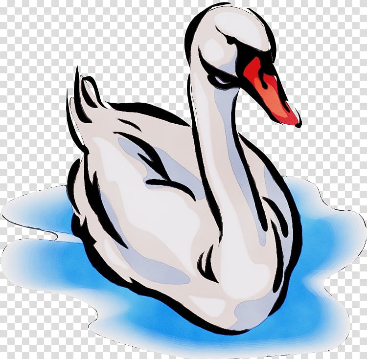 Water, Duck, Beak, Cartoon, Feather, Neck, Swan, Bird transparent background PNG clipart