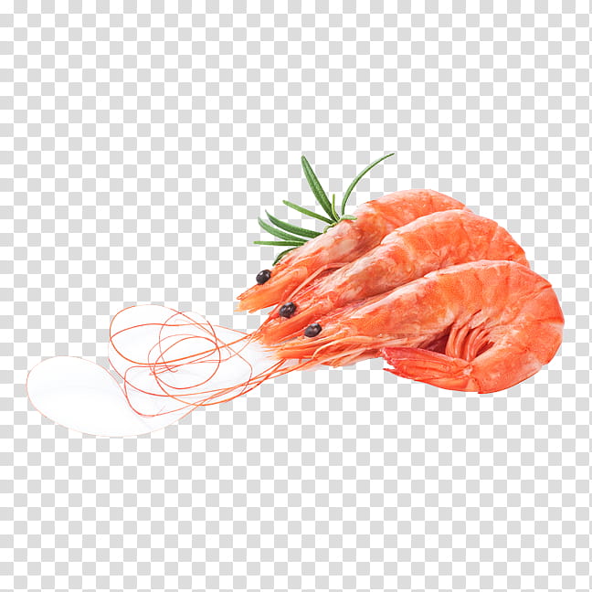 Shrimp, , Royaltyfree, Shrimp And Prawn, Food, Cooking, Seafood, Sashimi transparent background PNG clipart