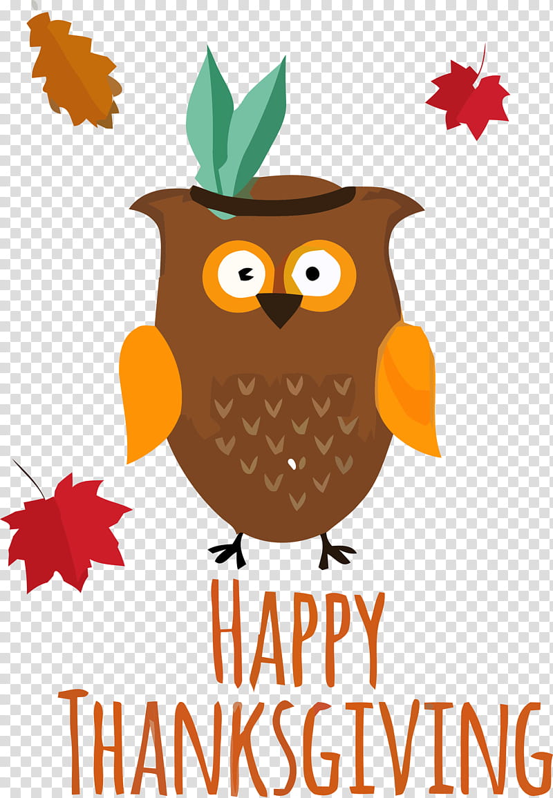 owl eastern screech owl bird bird of prey tree, Thanksgiving Owl, Owl Cartoon, Autumn transparent background PNG clipart