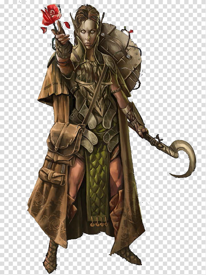 Elf, Druid, Dungeons Dragons, Roleplaying Game, D20 System, Halfelf, Sorcerer, Bard transparent background PNG clipart