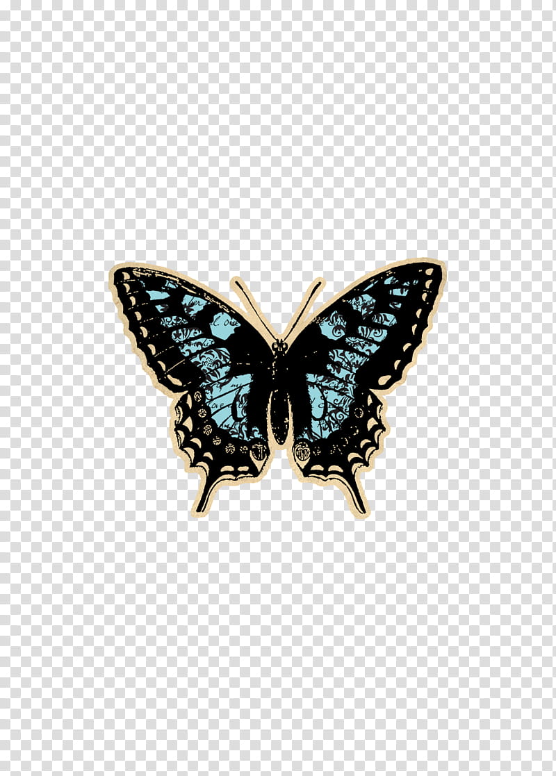 Fragile Song, black and blue butterfly transparent background PNG clipart