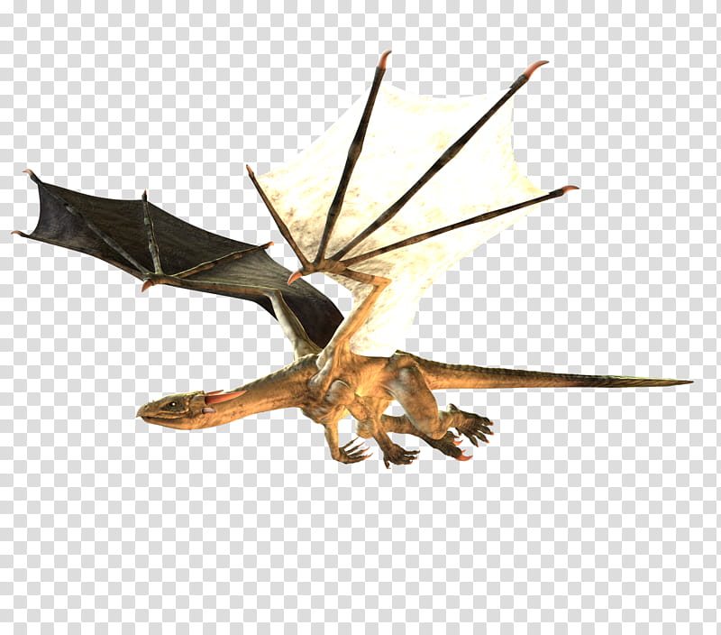 E S genesis Spectral Dragon  flaying poses, brown dragon transparent background PNG clipart